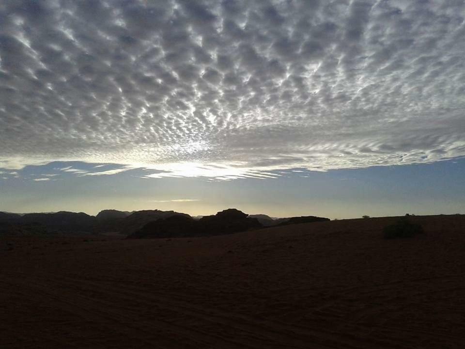 Wadi Rum Local Guide Camp Kültér fotó